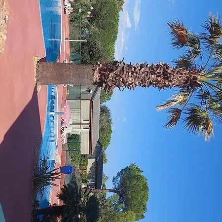 Chalet Cape Sur Le Mont Saint Loup *